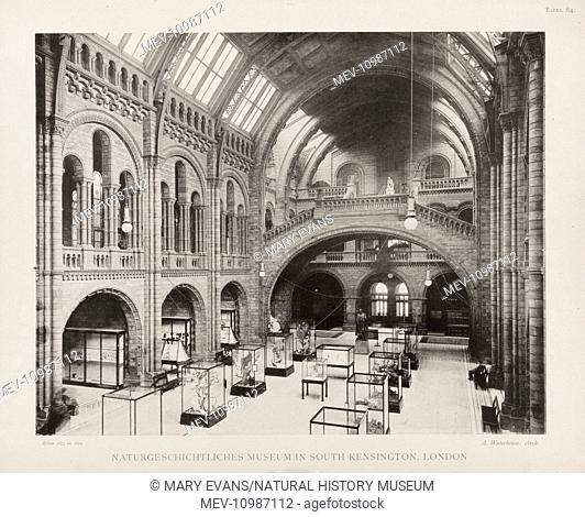 Photograph of the Natural History Musum's Central Hall, 25th August 1902. Archive ref: PH/173/647