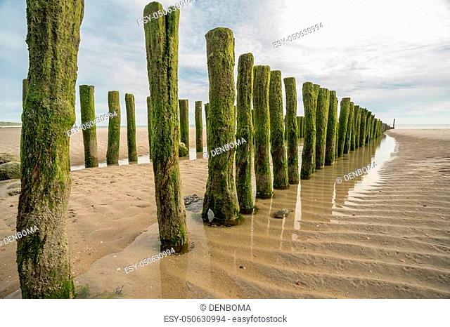 In Netherlands at Zoutelande, there are wooden poles in the sea