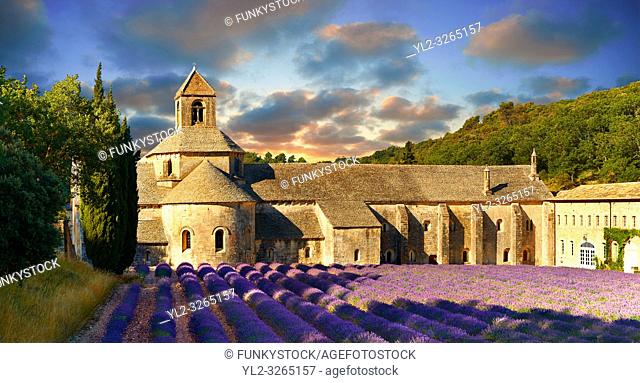 The 12th century Romanesque Cistercian Abbey of Notre Dame of Senanque ( 1148 ) set amongst the flowering lavender fields of Provence near Gordes, France
