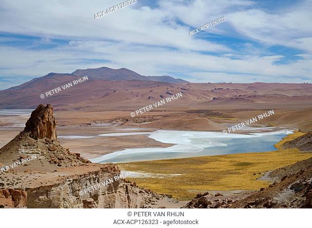 View of an Altiplano salt flat and lake in the Atacama Desert, Chile near the border with Argentina, South America