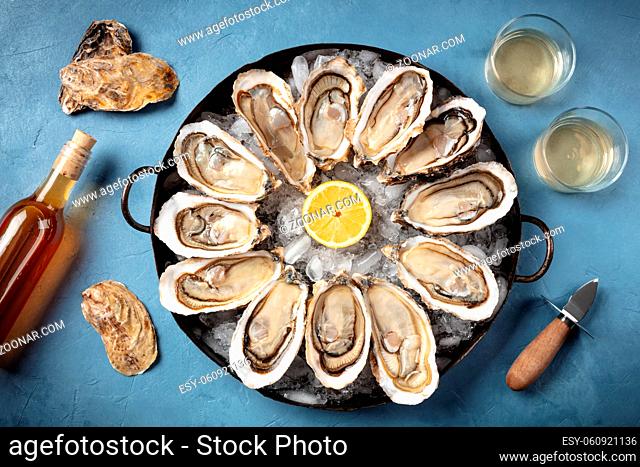 Oysters and wine. A dozen of raw oysters with a shucking knife and lemon, overhead flat lay shot on a blue background