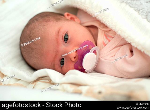 Newborn Baby Portrait, Beautiful New Born Kid sucking Pacifier, Child four weeks old