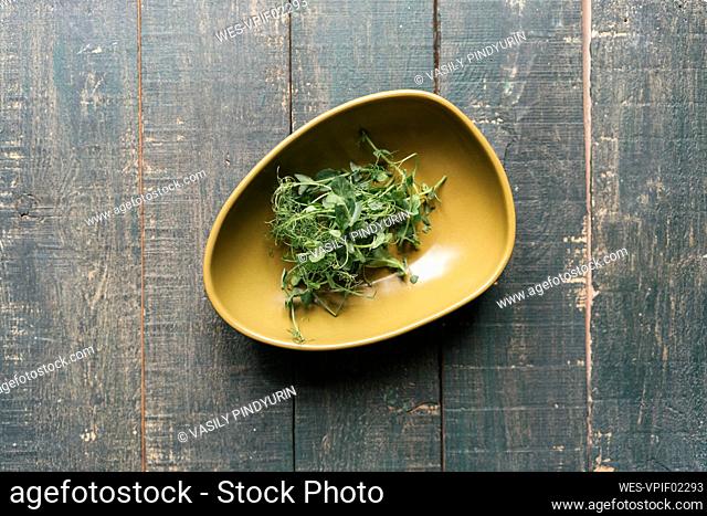 Bowl with sprouts on wooden table