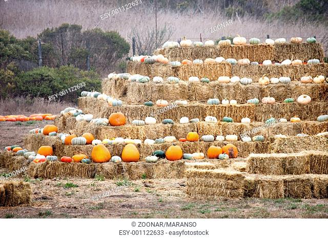 Pumpkins on haystack