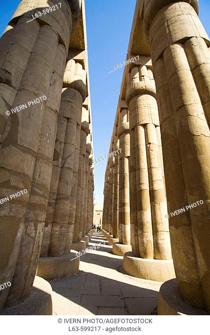 Columns. Temple of Luxor (ancient egyptian city of Thebes). Luxor. Egypt
