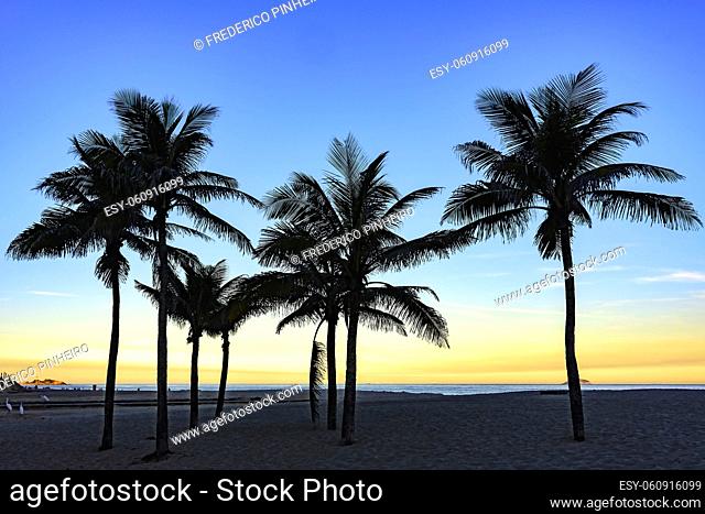 Summer sunset at Ipanema beach with coconuts trees in Rio de Janeiro