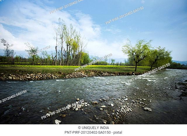 River flowing in the valley, Pahalgam, Anantnag District, Jammu And Kashmir, India
