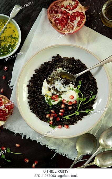 Belgua lentils with pomegranate seeds