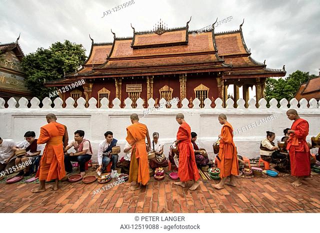 Buddhist monks receiving alms on Sisavangvong Road at dawn; Luang Prabang, Luang Prabang, Laos