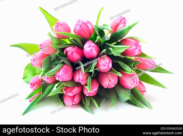 A Bunch Of Pink Tulips Isolated On White