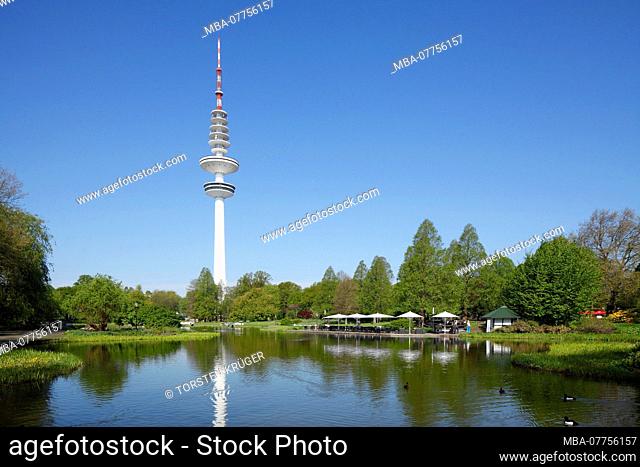 Park pond in the big rampart with television tower, Hamburg, Germany, Europe