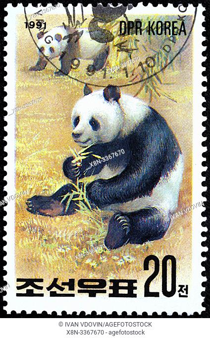 Giant panda, Ailuropoda melanoleuca, postage stamp, North Korea, 1991