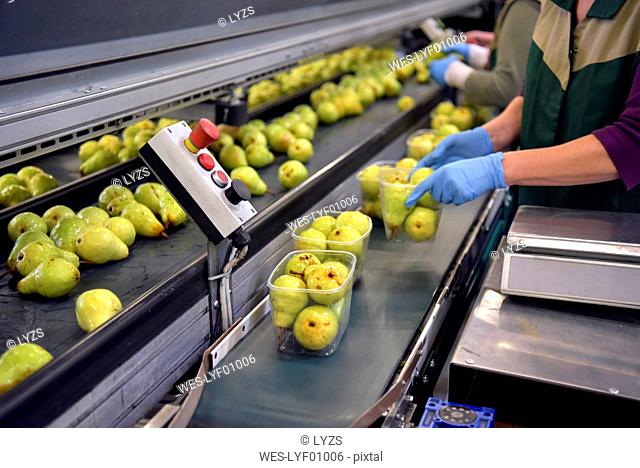 Industrial packaging of pears in plastic bowls