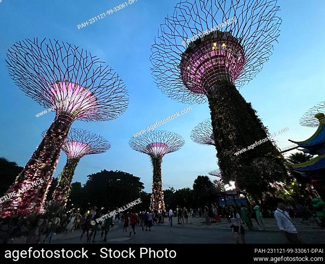 02 October 2023, Singapore, Singapur: The Supertrees in the Gardens by the Bay during the evening light show. The overgrown metal trees produce the electricity...