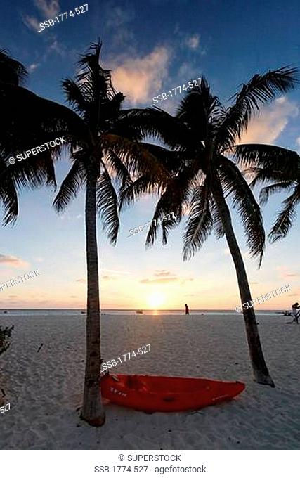 Palm trees and kayak on the beach, Seven Mile Beach, Grand Cayman, Cayman Islands