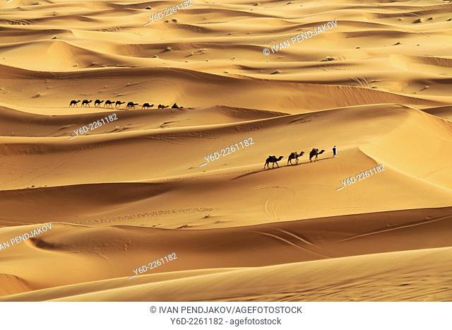 Sand Dunes, Merzouga, Sahara Desert, Morocco