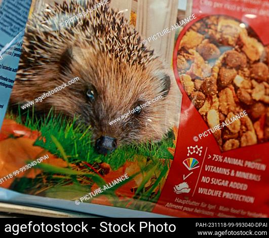 17 November 2023, Saxony-Anhalt, Halberstadt: Animal keeper Michael Eiding prepares the hedgehog meals at the wildlife rescue center in Halberstadt Zoo