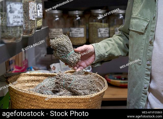 Close-up of senior man holding bunch of dried plants in a small shop