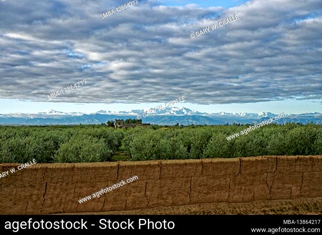 Atlas Mountains, earthen fence, trees, view near Marrakech on road to Essaouira, North Africa