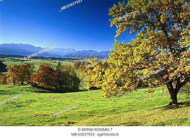 Germany, Bavaria, Pfaffenwinkel,  Aidlinger height, mountains, Herbstlandschaft,    Southern Germany, Upper Bavaria, Bavarian Alps, alpine upland, view