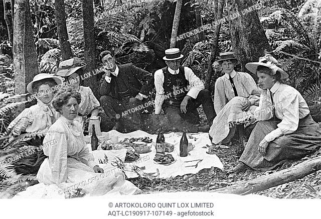 Negative - Group at Picnic Near Ferntree Waterfall, Mount Cole, Victoria, circa 1910, Two men and five women, one with a baby
