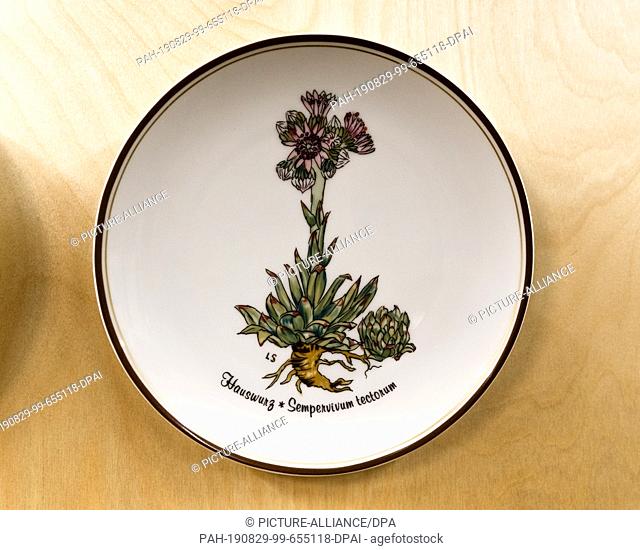 29 August 2019, Hamburg: A Rosenthal plate designed by Loki Schmidt with the picture of the houseleek can be seen in the exhibition ""Mit Loki in die Welt"" at...