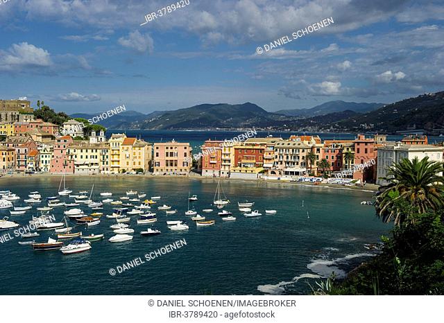 Townscape, harbor, Baia di Silenzio, Sestri Levante, Riviera di Levante, Genoa, Liguria, Italy