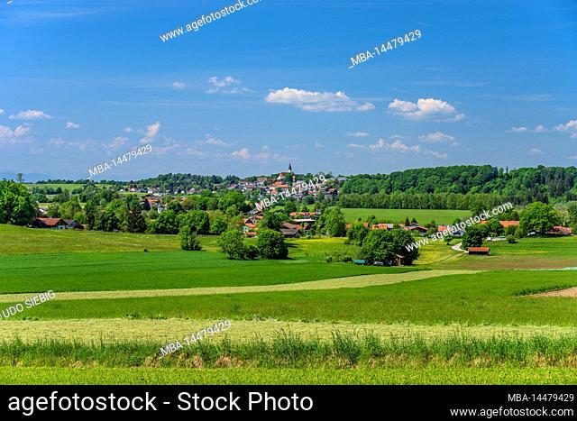 Germany, Bavaria, Starnberg county, Berg, Aufkirchen district, view near Farchach