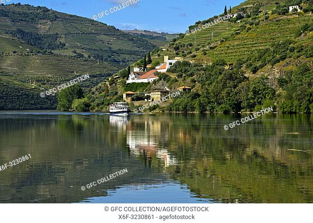 At the Douro River, Quinta de la Rosa on the right side, Pinhao, Douro Valley, Portugal