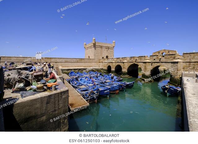 Castelo Real at fishing port, old portuguese fortress, Essaouira, morocco, africa