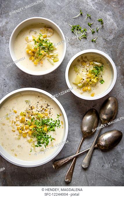 Smoked haddock and corn chowder garnished with cress, view from above