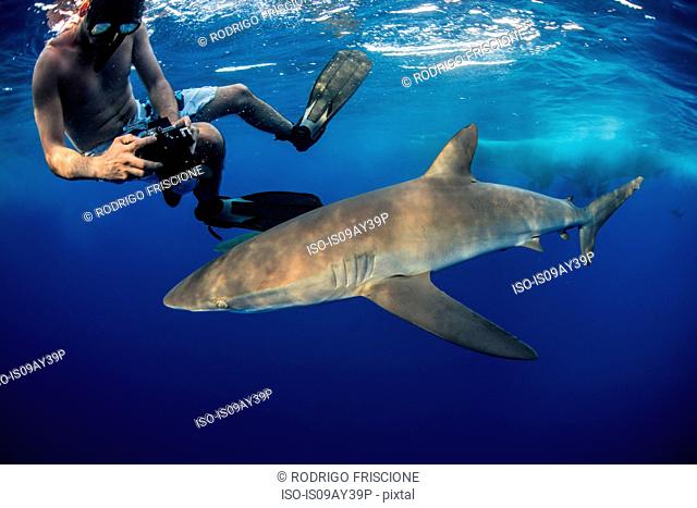 Snorkeler photographing a silky shark (Carcharhinus falciformis), Roca Partida, Colima, Mexico