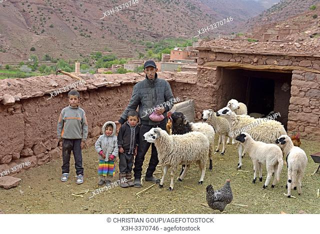 father and his children, in the compagny of sheep, in the yard of the house they live in exchange for their work, village of Tighza, Ounila River valley