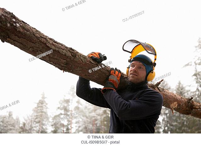 Logger carrying log, Tammela, Forssa, Finland