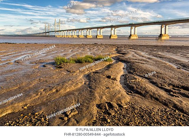 View of road bridge over river, viewed from Diver's Rock at Sudbrook, Second Severn Crossing, River Severn, Severn Estuary, Monmouthshire, Wales, September