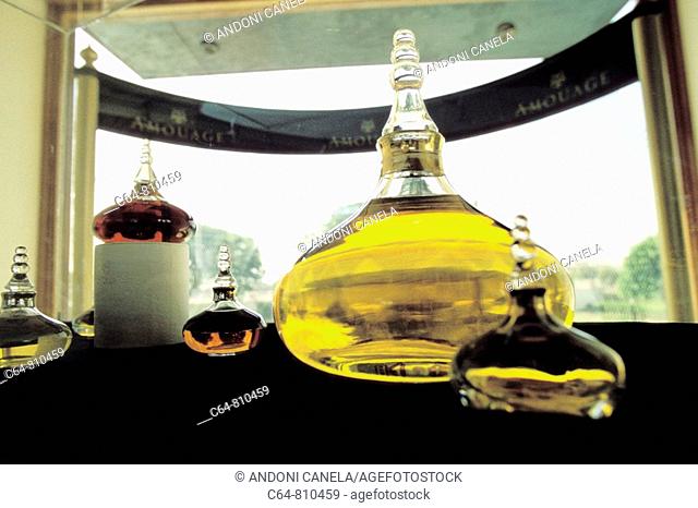Perfumes with frankincense, Oman, Arabian Peninsula