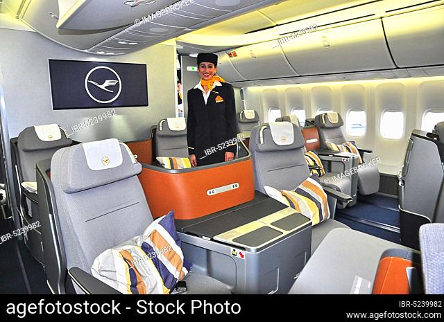 Civil aviation, Boeing 747-8, interior, business class, stewardess, passenger aircraft