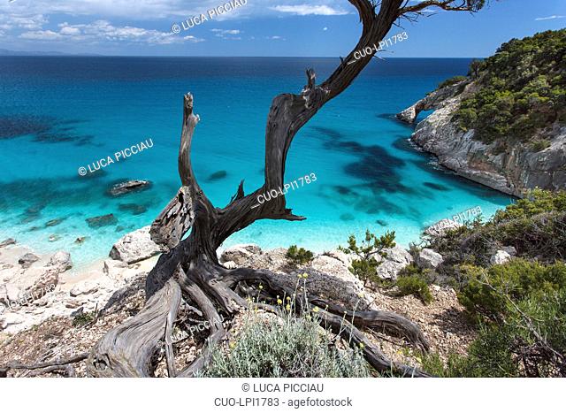 Cala Goloritzè beach and coast, Baunei (OG), Sardinia, Italy, Europe