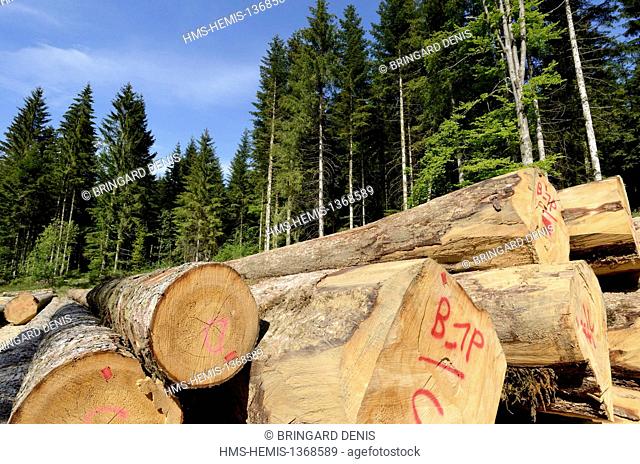 France, Doubs, Levier, La Route des Sapins, storage of logs in forest