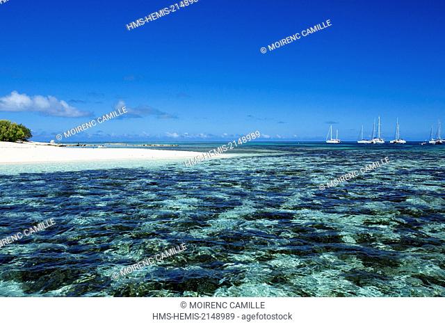 France, New Caledonia, Southern Province, off Noumea, nature reserve island Laregnere Lagoon listed as World Heritage by UNESCO