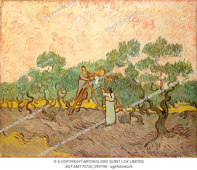 Women Picking Olives, 1889, Oil on canvas, 28 5/8 x 36 in. (72.7 x 91.4 cm), Paintings, Vincent van Gogh (Dutch, Zundert 1853â€“1890 Auvers-sur-Oise)