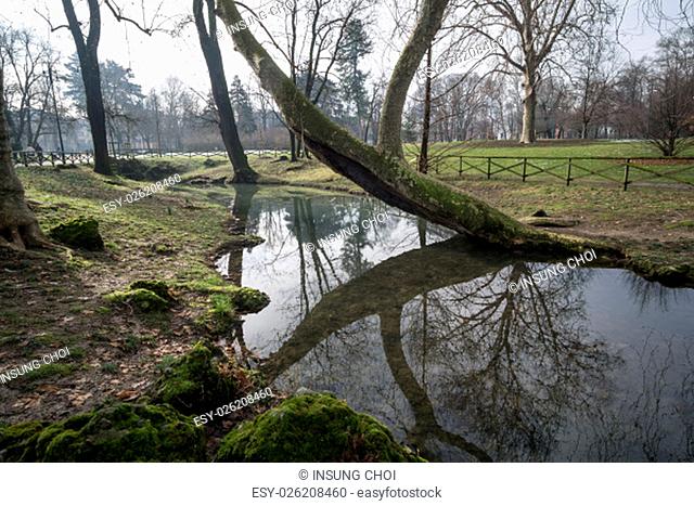 Park sempione lake reflection scene in Milan, Italy