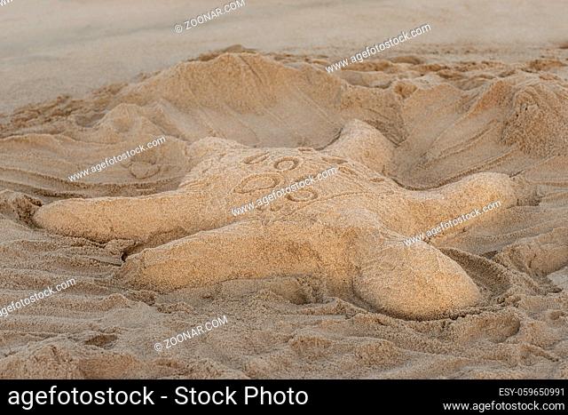 Sandy sculpture of a turtle on the beach