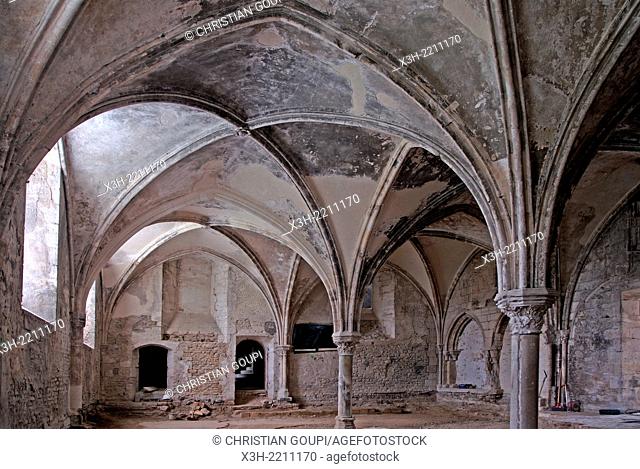 Chapterhouse of the Priory Our Lady of La Charite-sur-Loire, Nievre department, Burgundy region, France, Europe