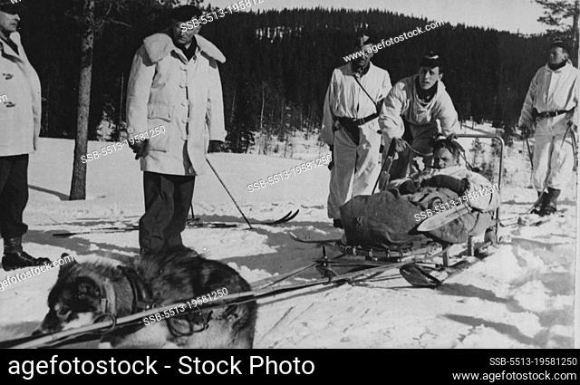 Montgomery Studies Ice-War Conditions -- The Field Marshal (second from left) studies a leash of dogs, used for transporting wounded soldiers, at a practice run