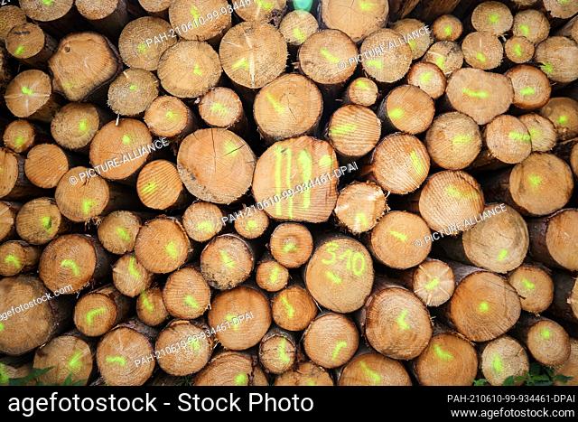 09 June 2021, Saxony, Pockau-Lengefeld: Tree trunks lie on a pile in a forest on a ridge in the Ore Mountains. In recent years