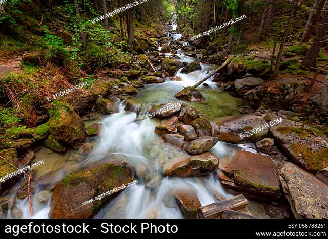 Forest stream in Alps mountains at spring, long exposure