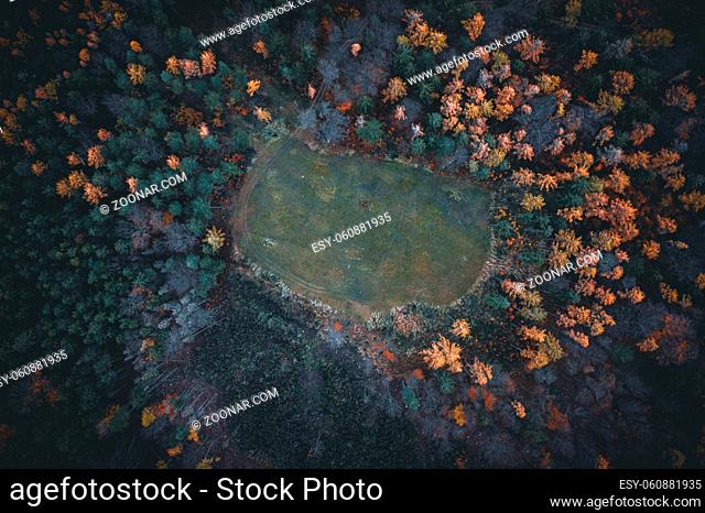 Aerial view of autumn forest in austria moody edit