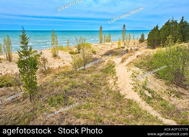 Sand dunes along Lake Huron Pinery Provincial Park Ontario Canada