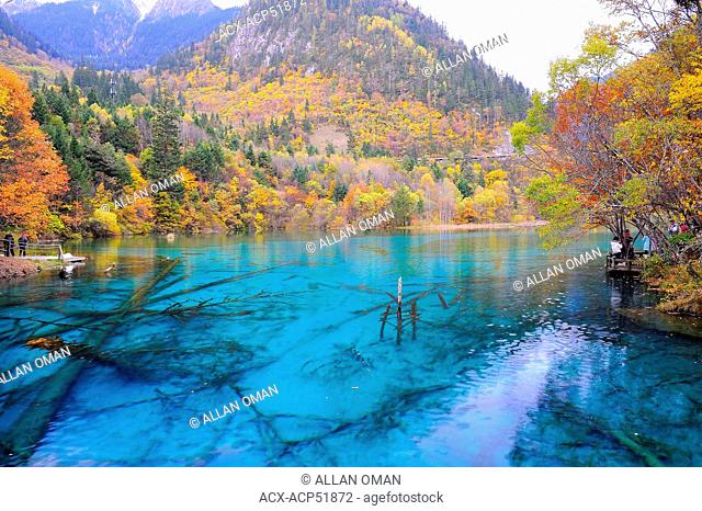 View of a clear blue freshwater lake from a walking path in autumn in JiuZhaiGou National Park in Sichuan Province, P.R. China